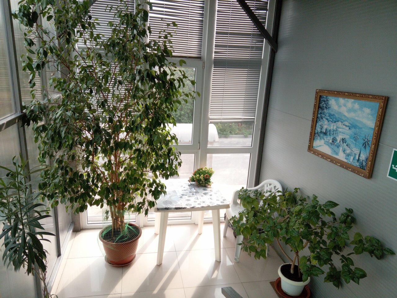 Гостиница Делиф Анапа