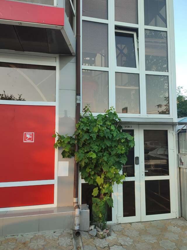 Гостиница Делиф Анапа-37