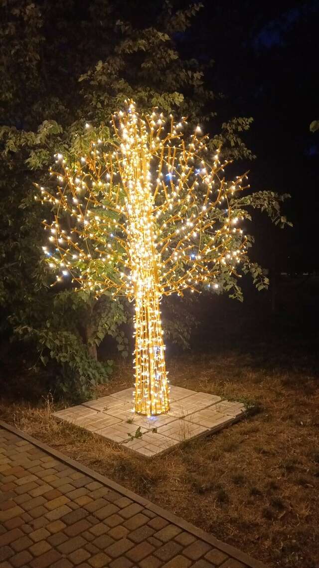 Гостиница Делиф Анапа-61