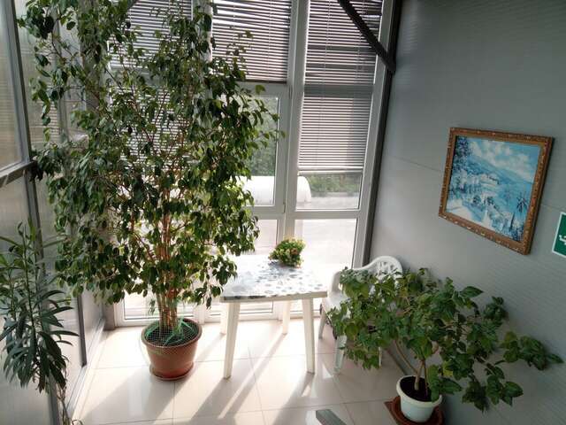 Гостиница Делиф Анапа-59